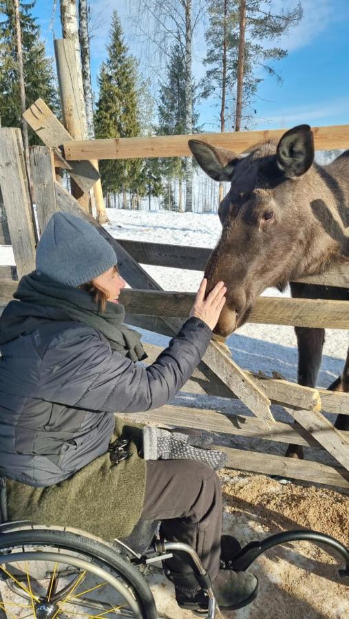 The Friendly Moose Otel Overtornea Dış mekan fotoğraf